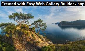 Create Video Gallery